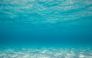 Fotografías bajo el agua en Mahahual