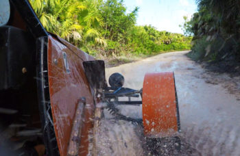 Tours con un alto nivel de adrenalina en Costa Maya