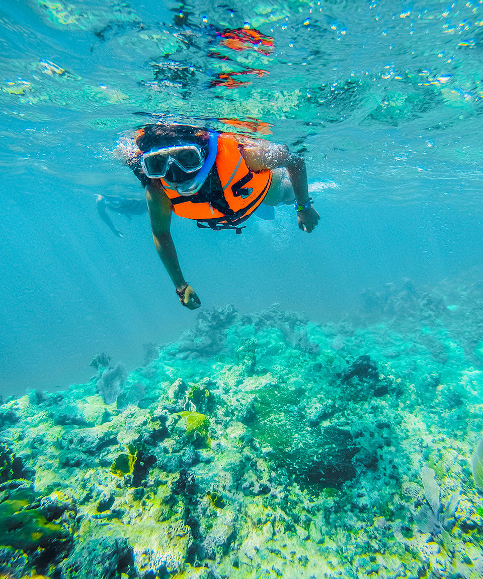 costa-maya-catamaran-snorkeling