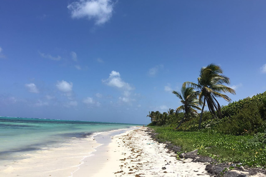 Mahahual Paradise Ecosystem